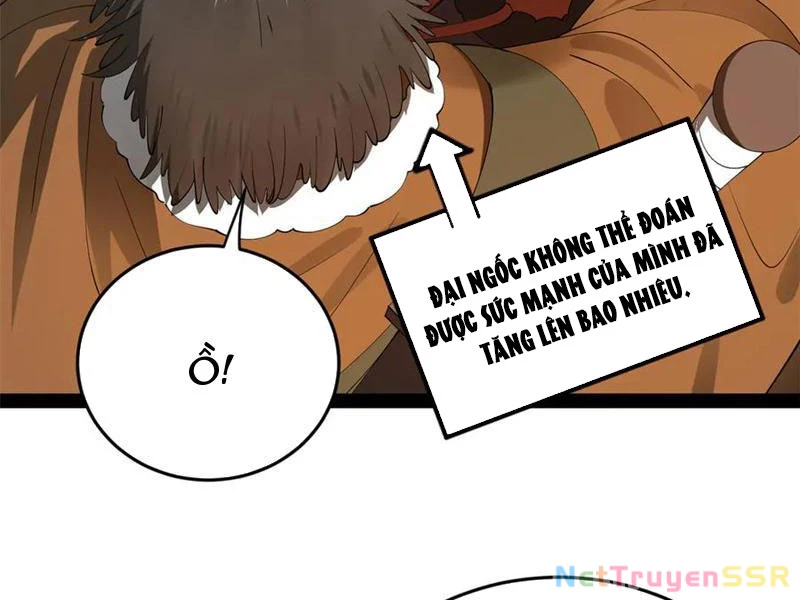 Chàng Rể Mạnh Nhất Lịch Sử Chapter 205 - Trang 4