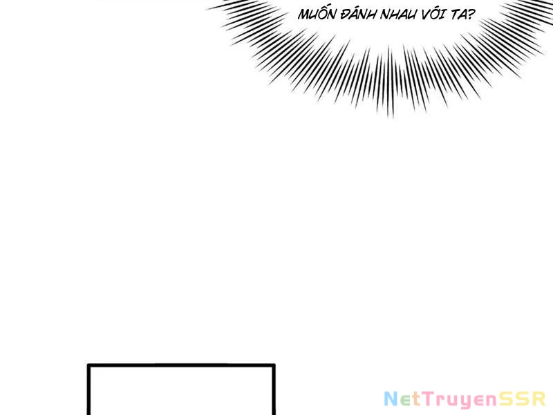 Chàng Rể Mạnh Nhất Lịch Sử Chapter 205 - Trang 4