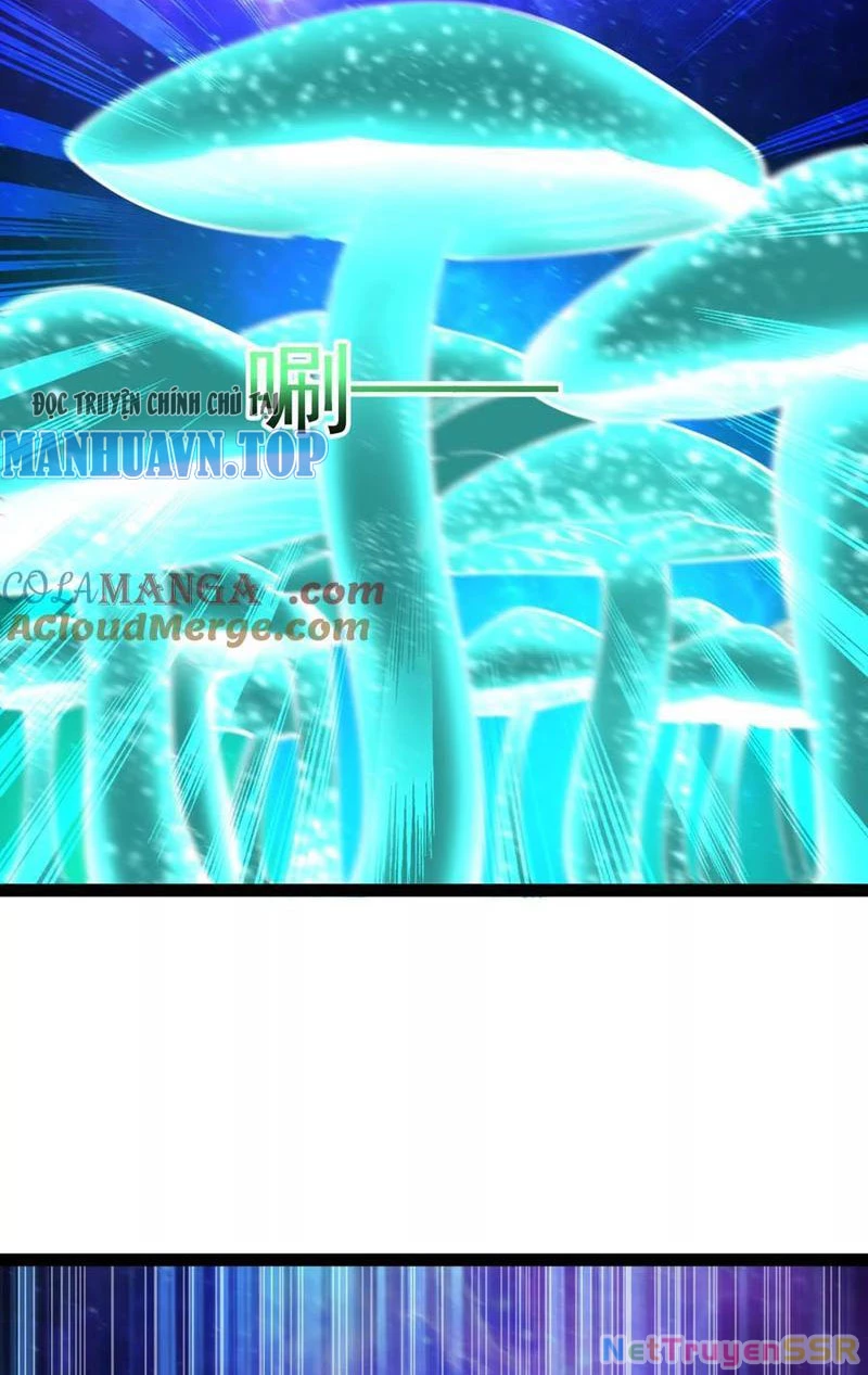Đại Liên Minh Phản Xuyên Việt Của Bạo Quân Chapter 68 - Trang 3