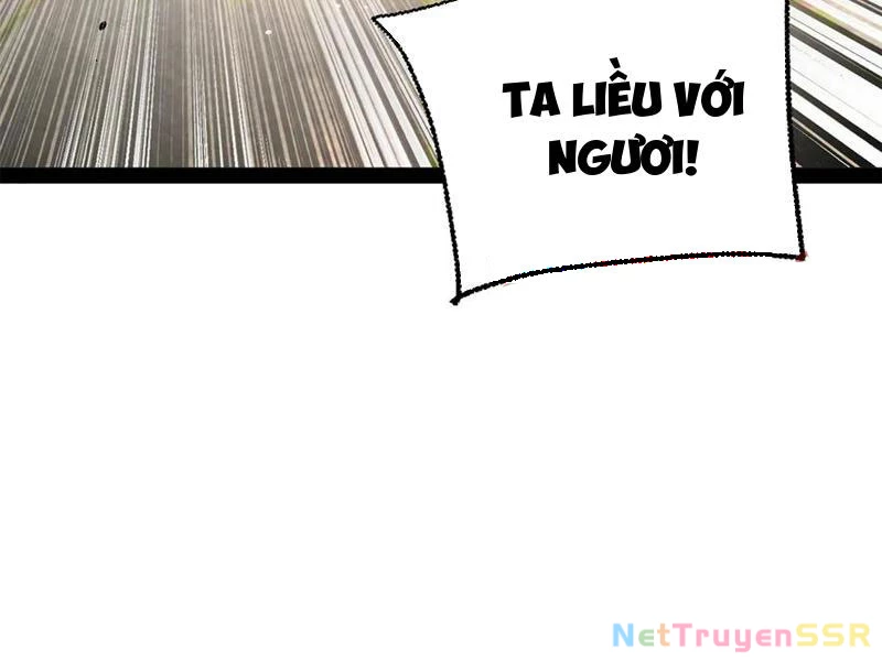 Chàng Rể Mạnh Nhất Lịch Sử Chapter 206 - Trang 4