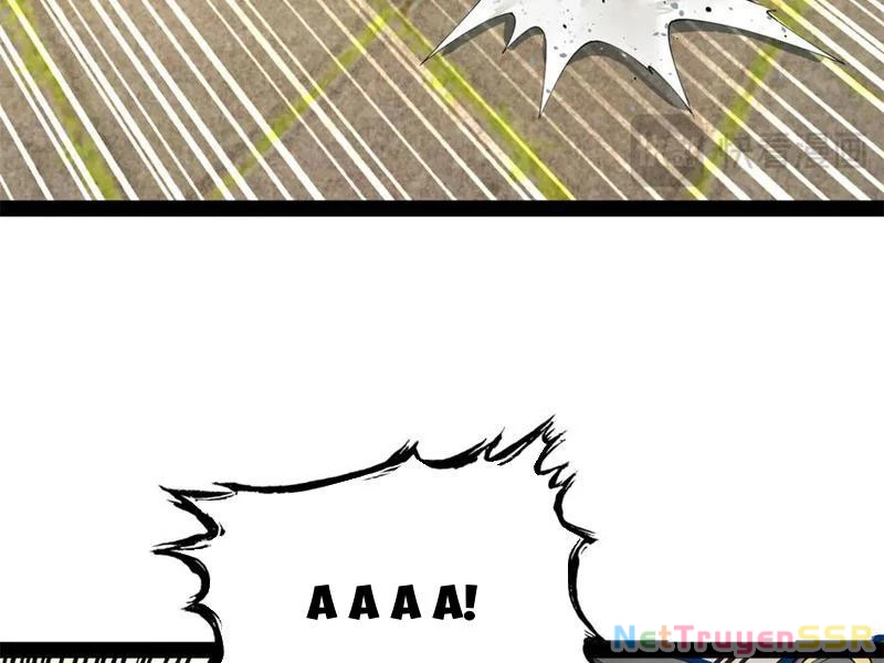 Chàng Rể Mạnh Nhất Lịch Sử Chapter 206 - Trang 4