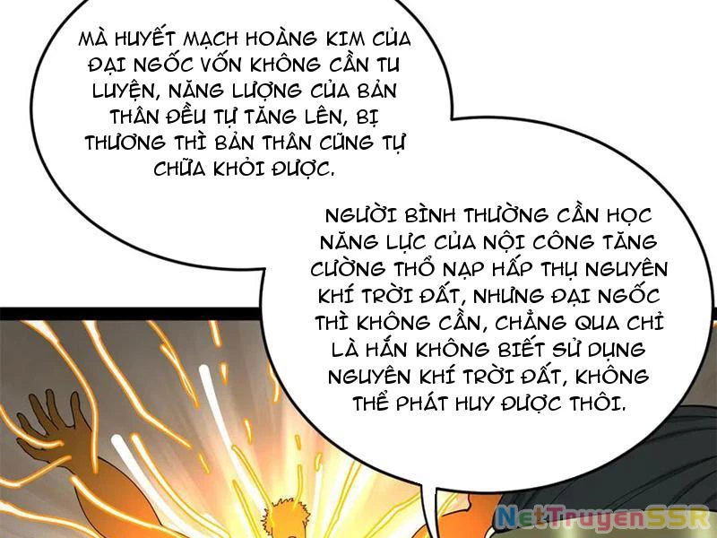 Chàng Rể Mạnh Nhất Lịch Sử Chapter 206 - Trang 4