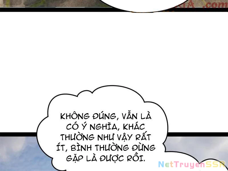 Chàng Rể Mạnh Nhất Lịch Sử Chapter 206 - Trang 4