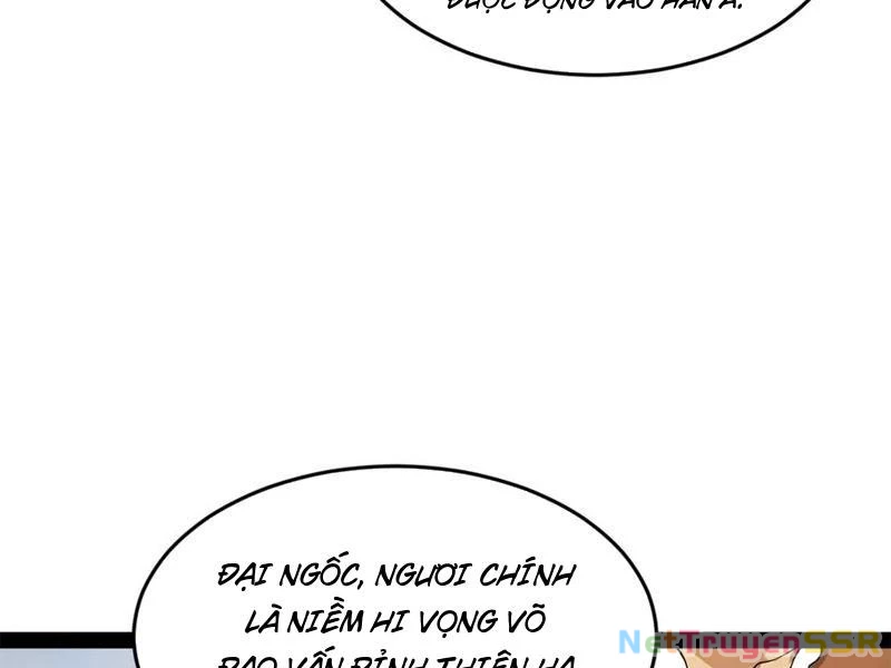 Chàng Rể Mạnh Nhất Lịch Sử Chapter 206 - Trang 4