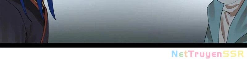 Chàng Rể Mạnh Nhất Lịch Sử Chapter 206 - Trang 4