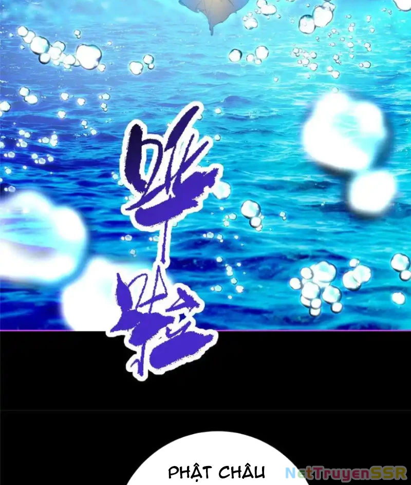 Chưởng Môn Khiêm Tốn Chút Chapter 387 - Trang 4