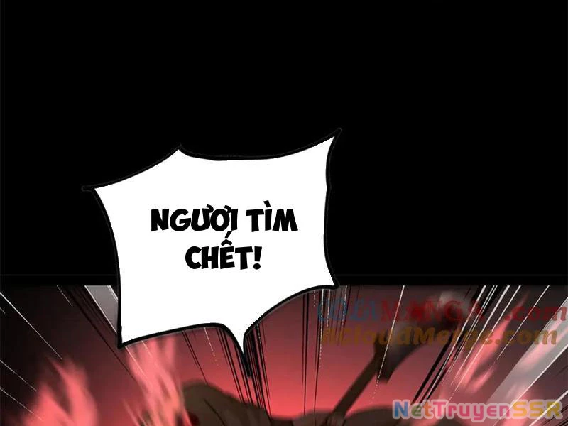 Chàng Rể Mạnh Nhất Lịch Sử Chapter 207 - Trang 4