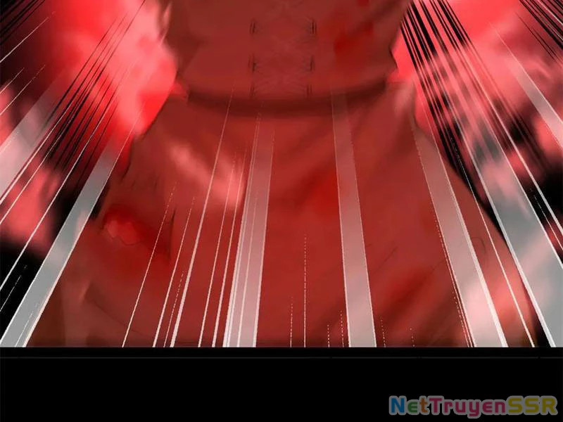 Chàng Rể Mạnh Nhất Lịch Sử Chapter 207 - Trang 4