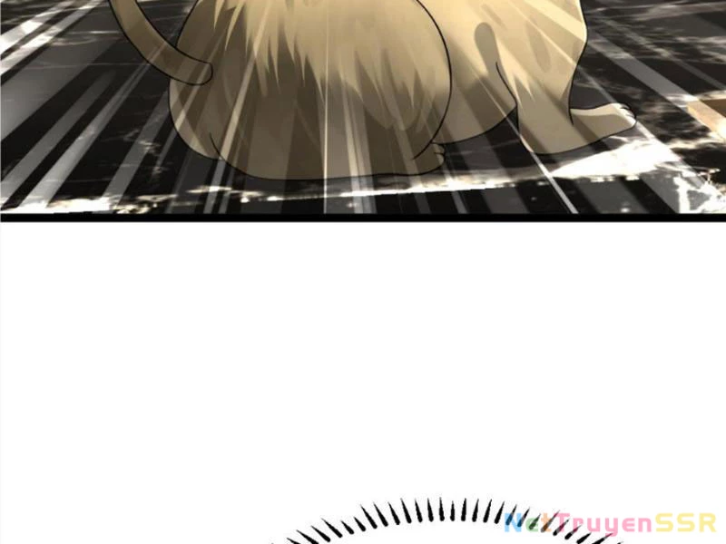 Toàn Cầu Băng Phong: Ta Chế Tạo Phòng An Toàn Tại Tận Thế Chapter 312 - Trang 4