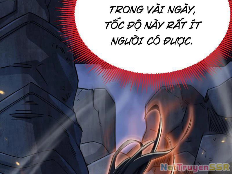 Bắt Đầu Chấn Kinh Nữ Đế Lão Bà, Ta Vô Địch! Chapter 8 - Trang 4