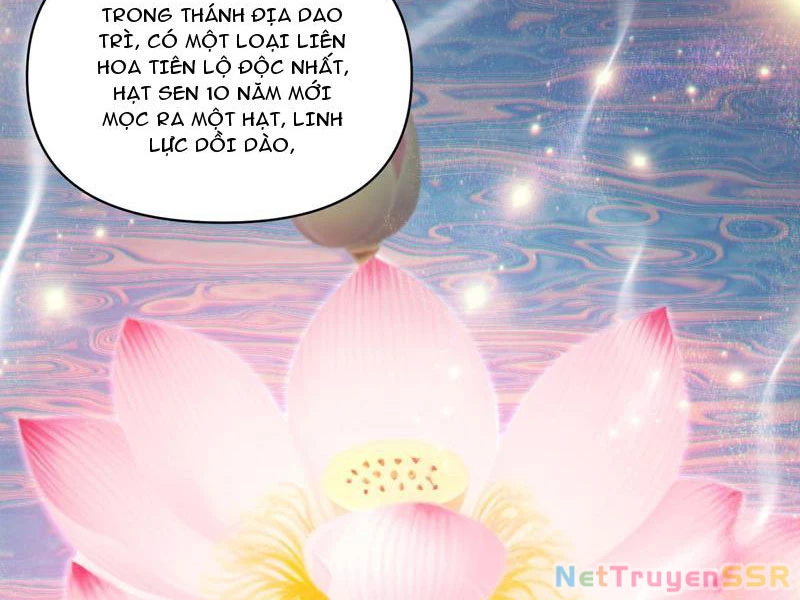 Bắt Đầu Chấn Kinh Nữ Đế Lão Bà, Ta Vô Địch! Chapter 13 - Trang 4