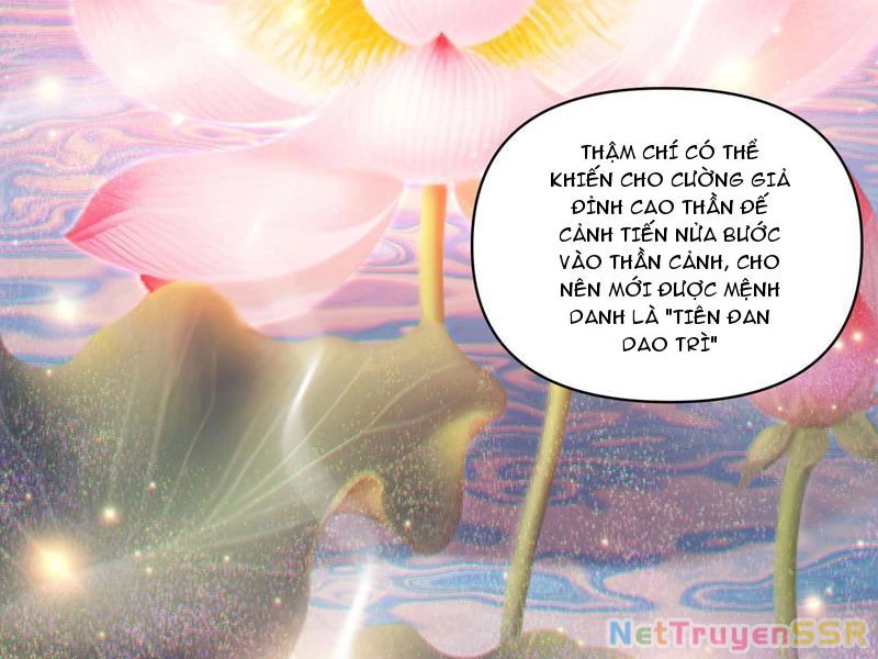 Bắt Đầu Chấn Kinh Nữ Đế Lão Bà, Ta Vô Địch! Chapter 13 - Trang 4