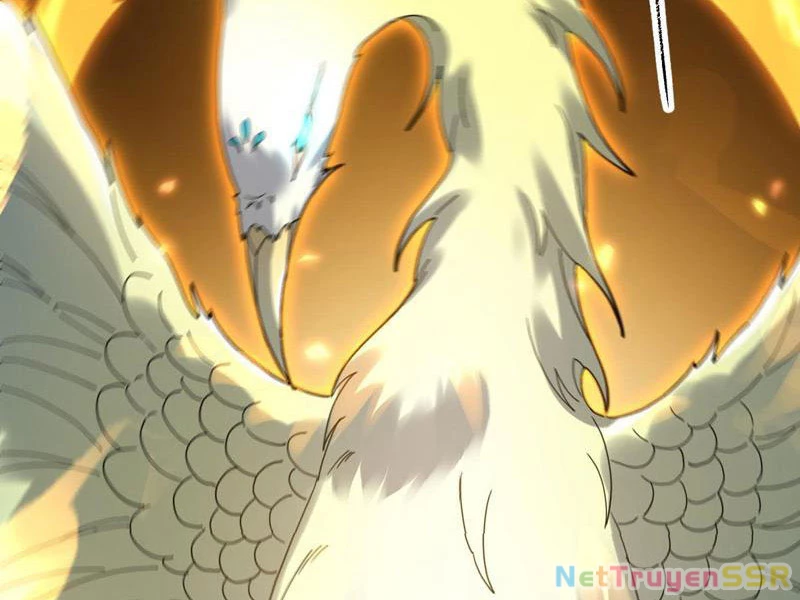 Bắt Đầu Chấn Kinh Nữ Đế Lão Bà, Ta Vô Địch! Chapter 14 - Trang 4