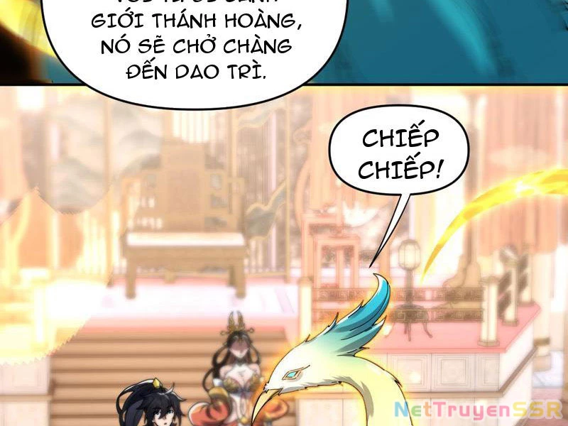 Bắt Đầu Chấn Kinh Nữ Đế Lão Bà, Ta Vô Địch! Chapter 14 - Trang 4
