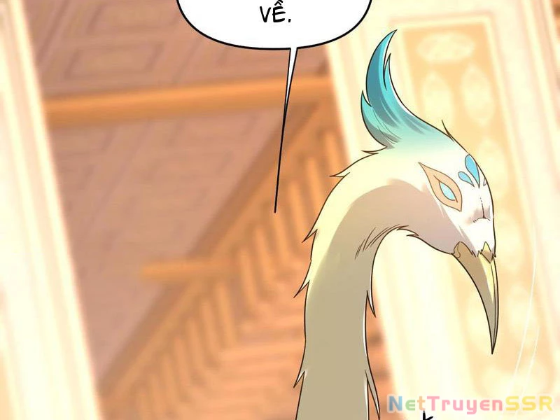 Bắt Đầu Chấn Kinh Nữ Đế Lão Bà, Ta Vô Địch! Chapter 14 - Trang 4