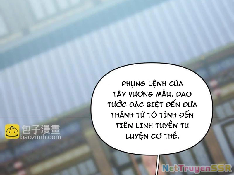 Bắt Đầu Chấn Kinh Nữ Đế Lão Bà, Ta Vô Địch! Chapter 14 - Trang 4