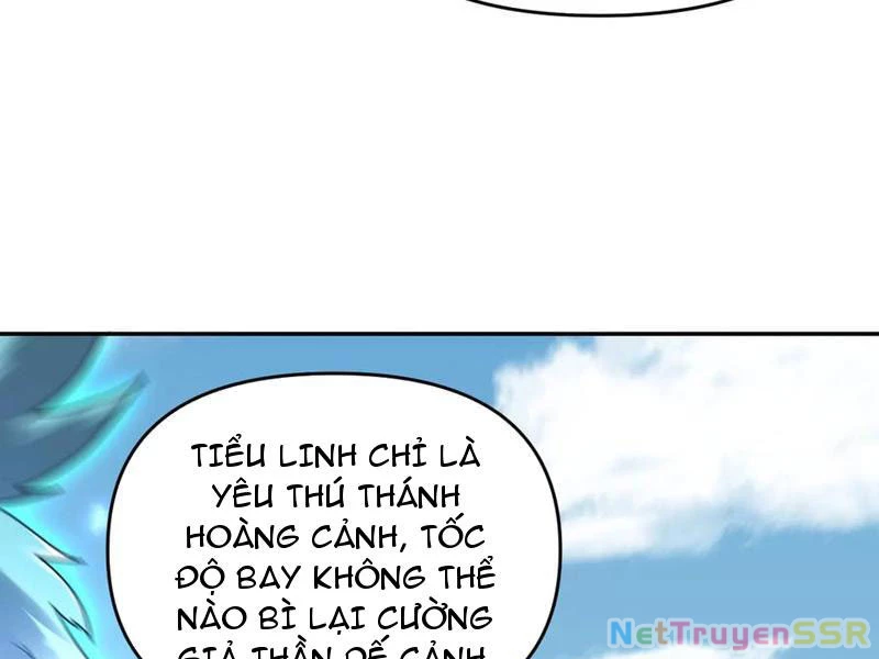 Bắt Đầu Chấn Kinh Nữ Đế Lão Bà, Ta Vô Địch! Chapter 19 - Trang 4