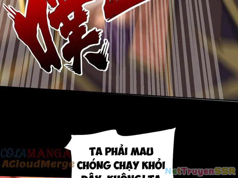 Bắt Đầu Chấn Kinh Nữ Đế Lão Bà, Ta Vô Địch! Chapter 20 - Trang 4