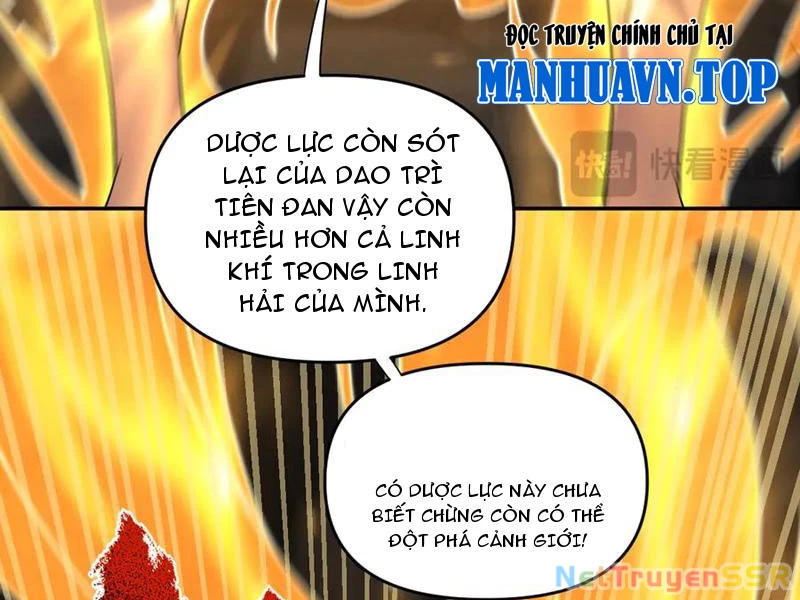 Bắt Đầu Chấn Kinh Nữ Đế Lão Bà, Ta Vô Địch! Chapter 21 - Trang 4