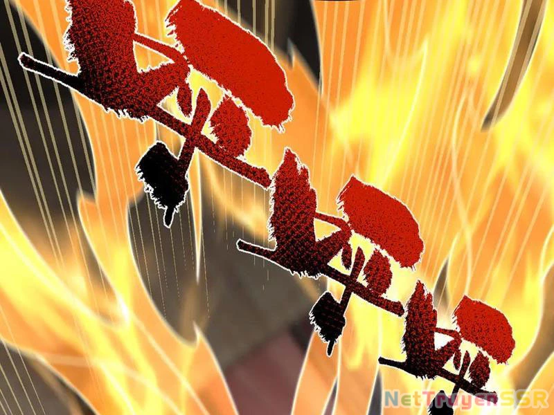 Bắt Đầu Chấn Kinh Nữ Đế Lão Bà, Ta Vô Địch! Chapter 21 - Trang 4