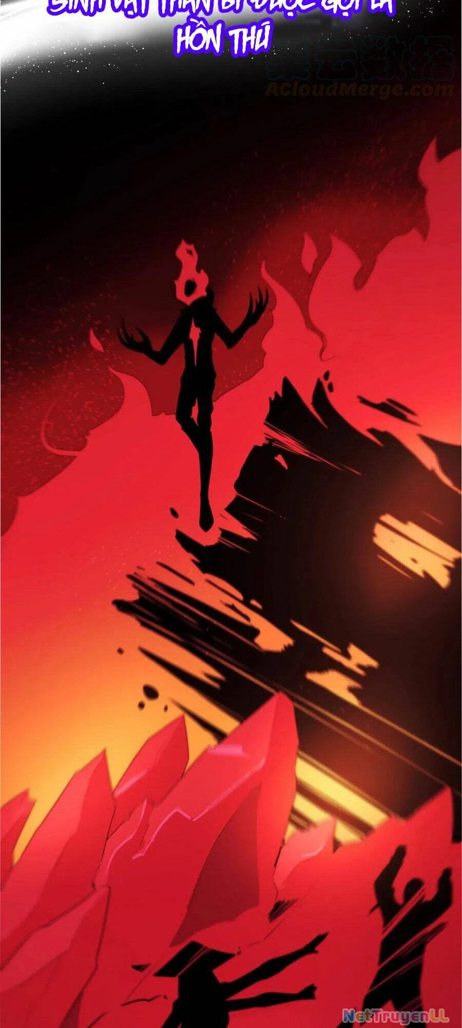 Bổn Thánh Nữ Ngã Bài Rồi Chapter 1 - Trang 4