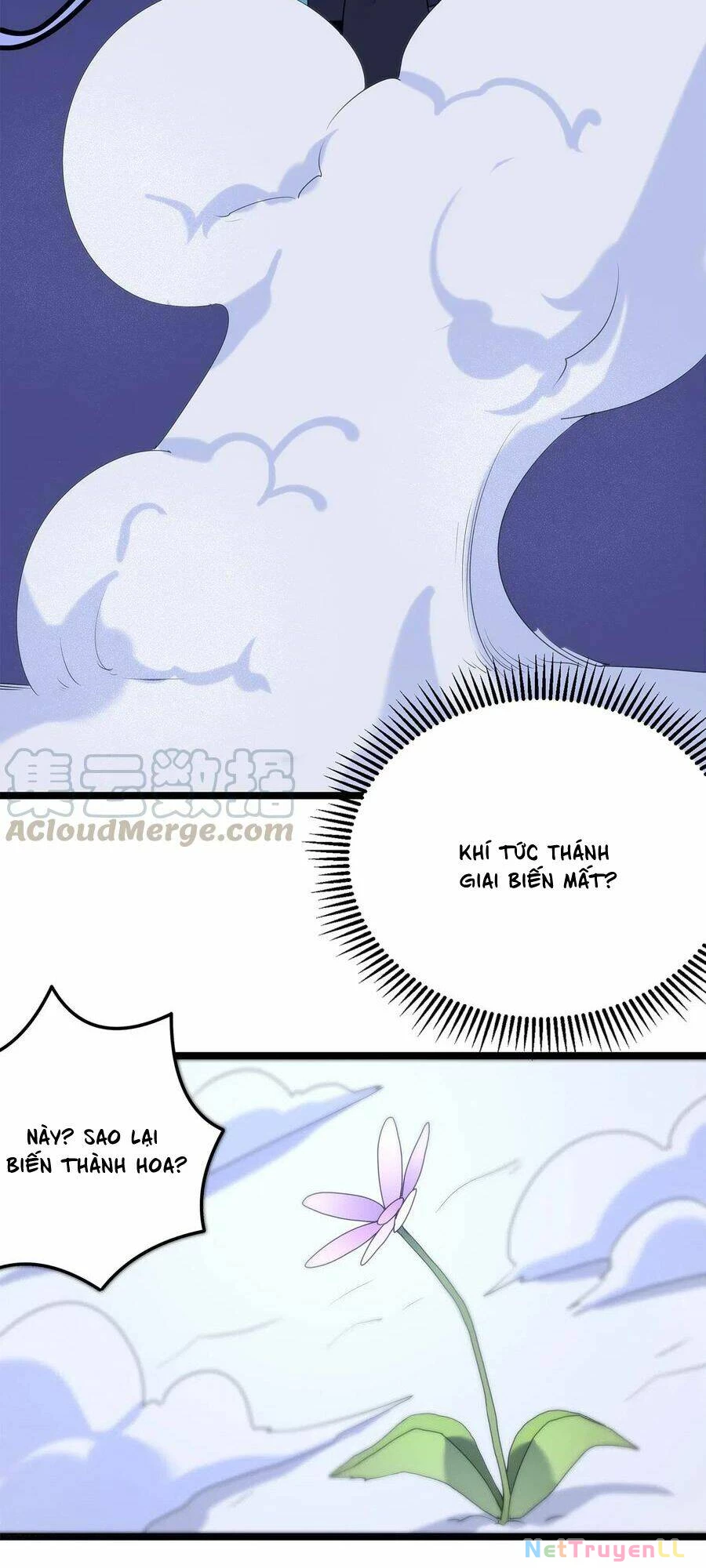 Bổn Thánh Nữ Ngã Bài Rồi Chapter 5 - Trang 4