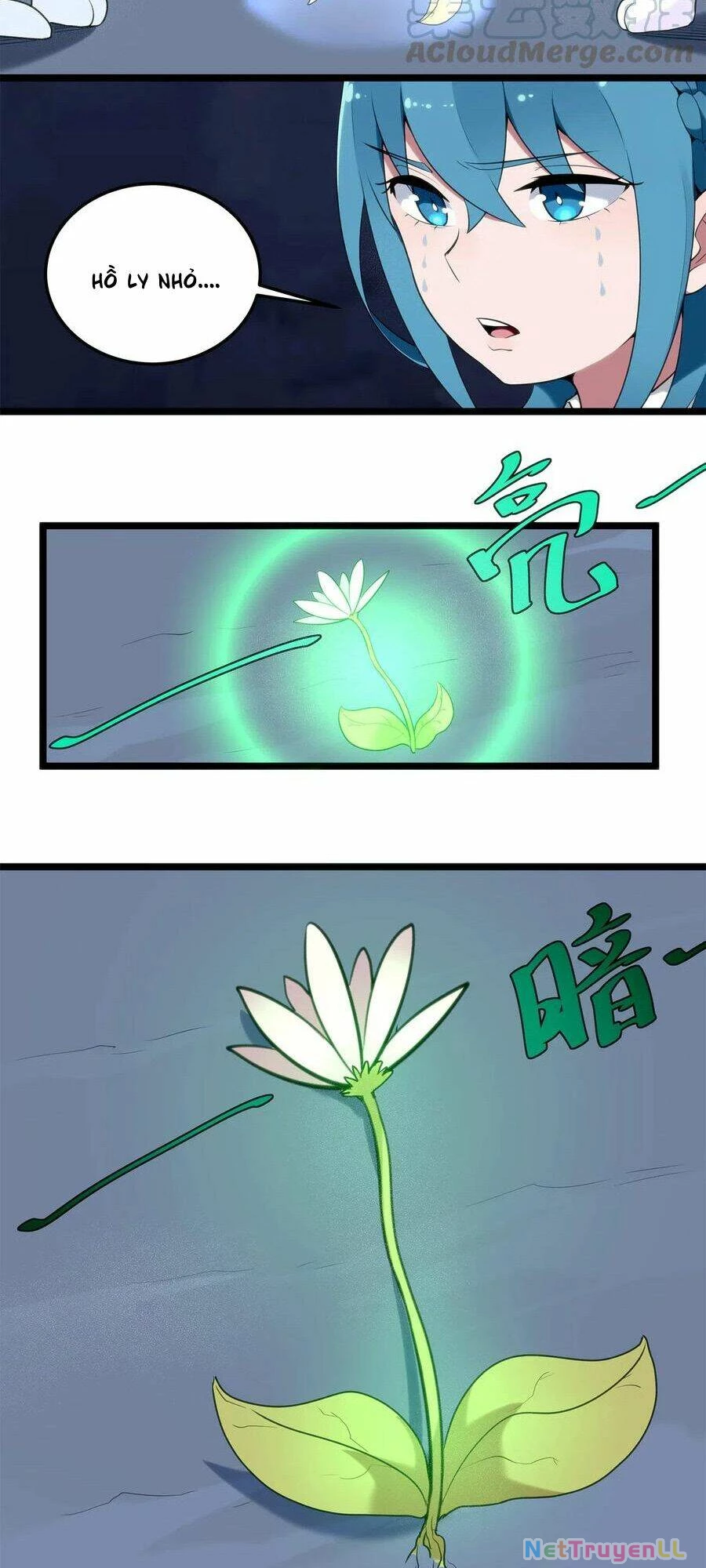 Bổn Thánh Nữ Ngã Bài Rồi Chapter 6 - Trang 4