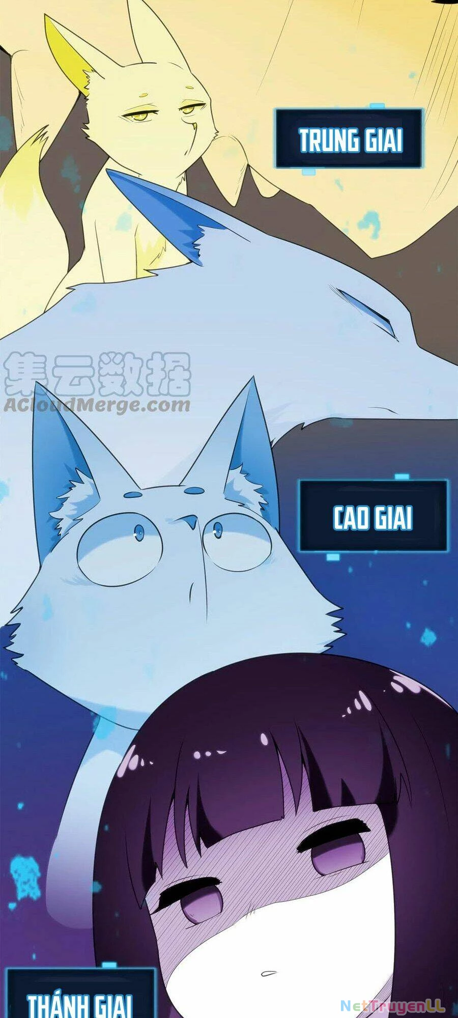 Bổn Thánh Nữ Ngã Bài Rồi Chapter 7 - Trang 4