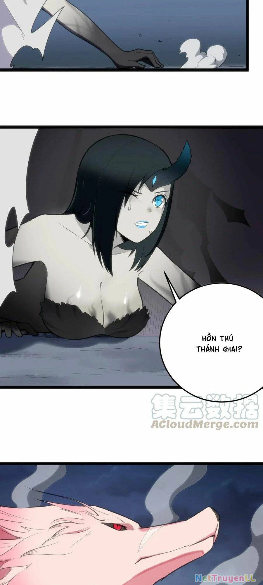 Bổn Thánh Nữ Ngã Bài Rồi Chapter 16 - Trang 4