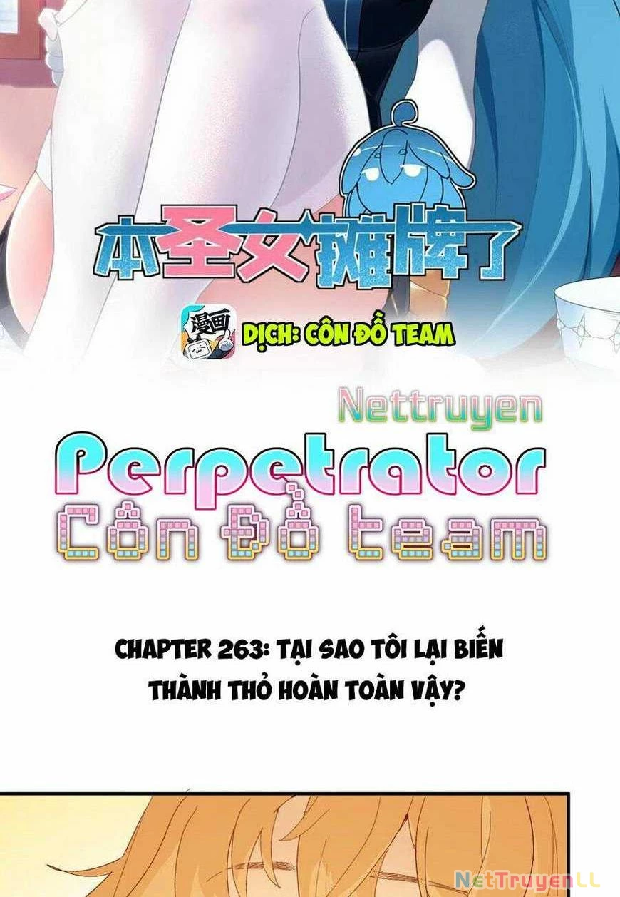 Bổn Thánh Nữ Ngã Bài Rồi Chapter 263 - Trang 4