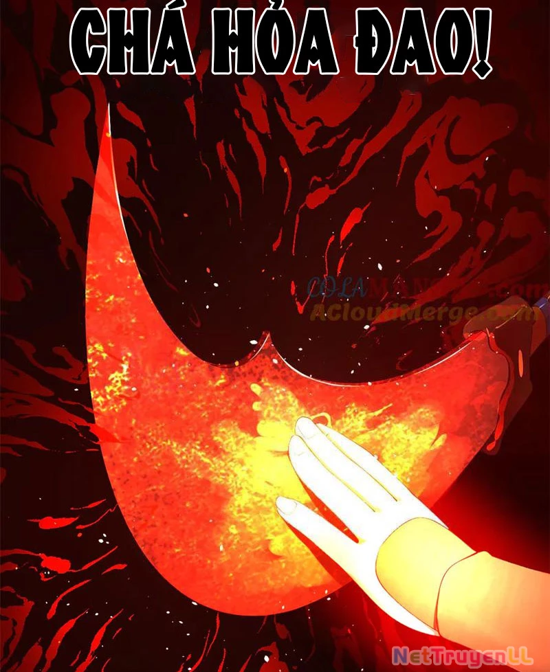 Chàng Rể Mạnh Nhất Lịch Sử Chapter 209 - Trang 4