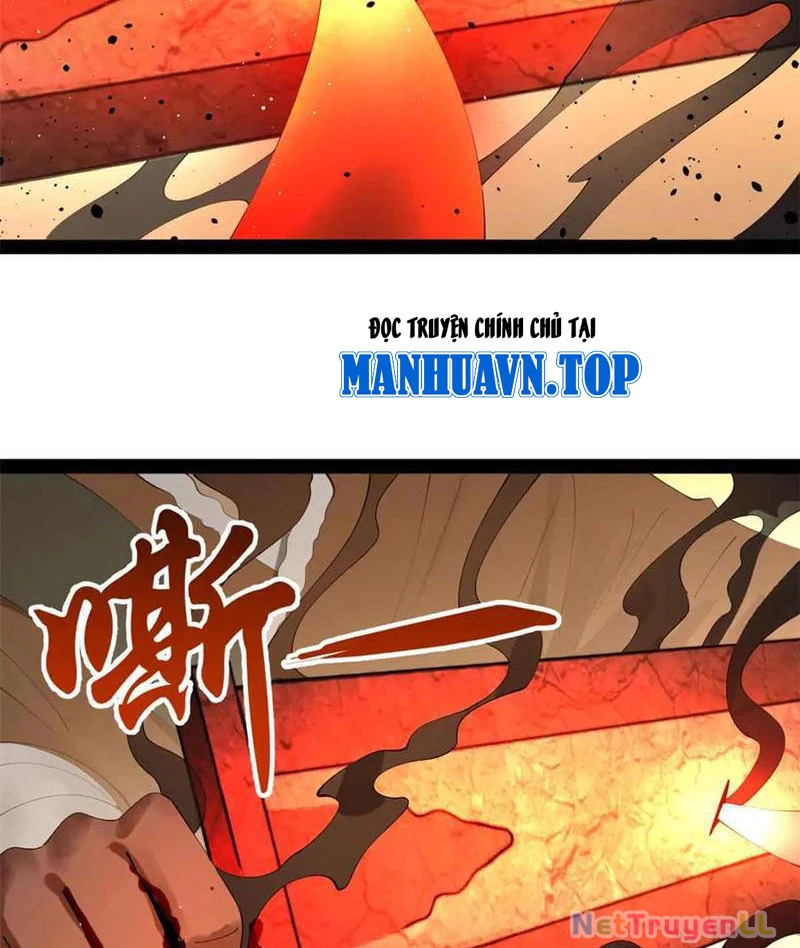 Chàng Rể Mạnh Nhất Lịch Sử Chapter 209 - Trang 4