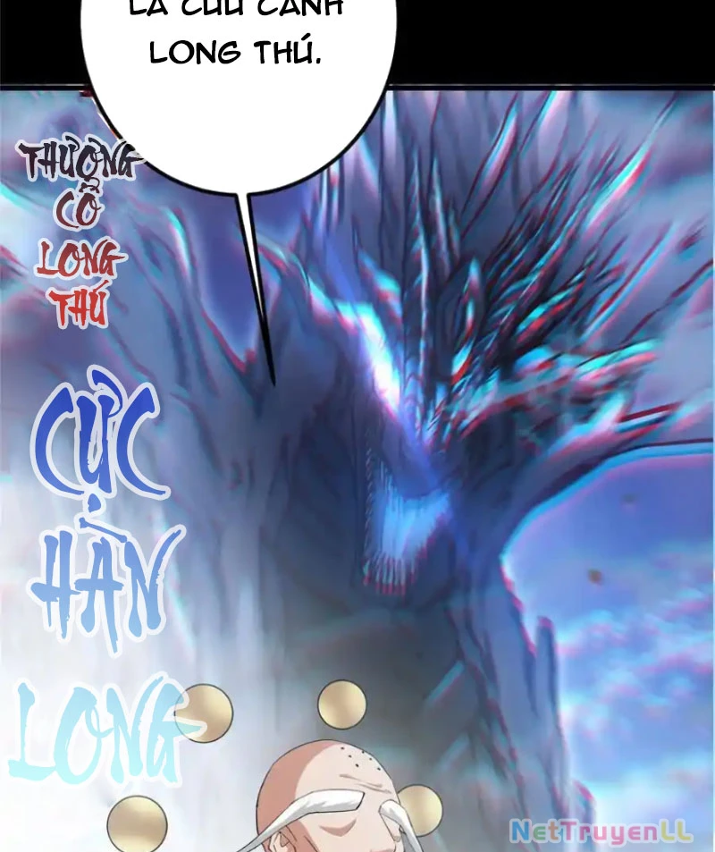 Chưởng Môn Khiêm Tốn Chút Chapter 388 - Trang 4