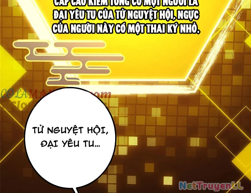 Chưởng Môn Khiêm Tốn Chút Chapter 390 - Trang 4