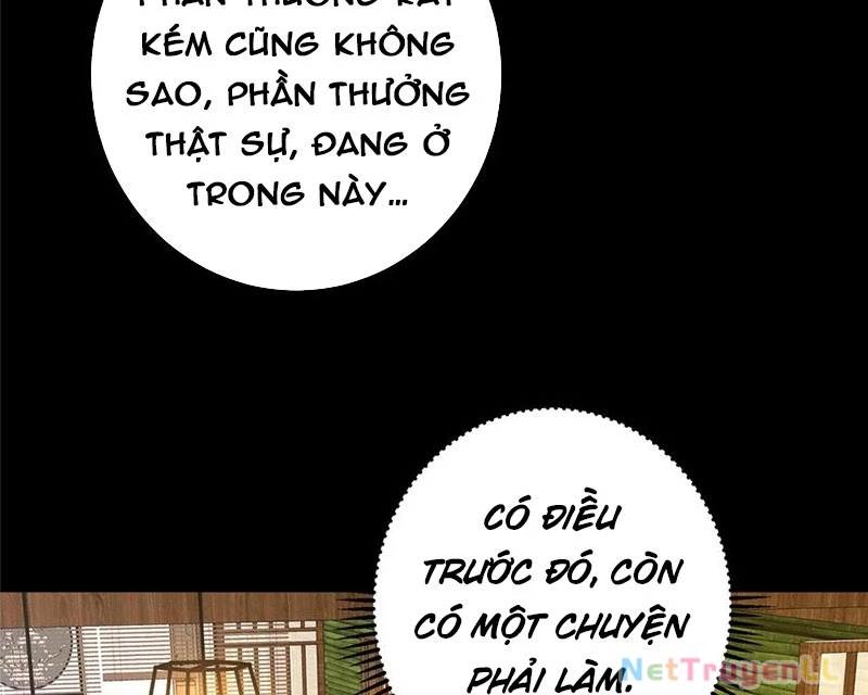 Chưởng Môn Khiêm Tốn Chút Chapter 390 - Trang 4