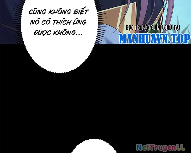 Chưởng Môn Khiêm Tốn Chút Chapter 390 - Trang 4