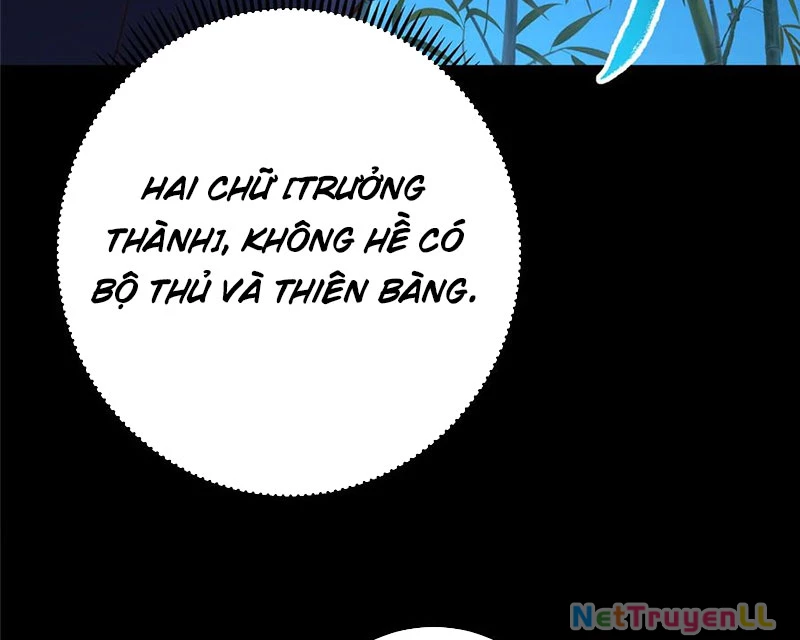 Chưởng Môn Khiêm Tốn Chút Chapter 390 - Trang 4