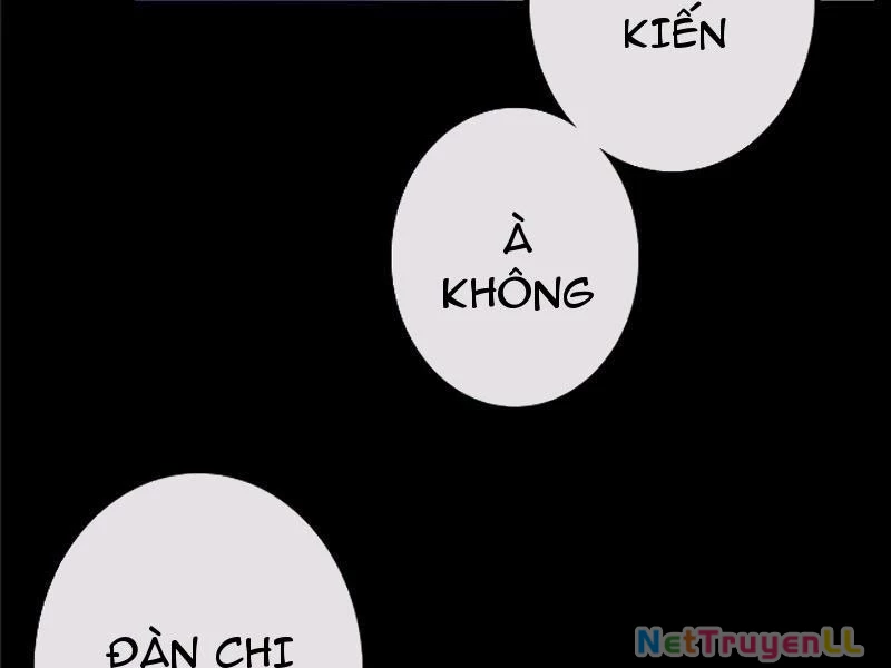 Chỗ Lánh Nạn Của Ta Chỉ Thu Thiếu Mỹ Nữ Chapter 39 - Trang 4