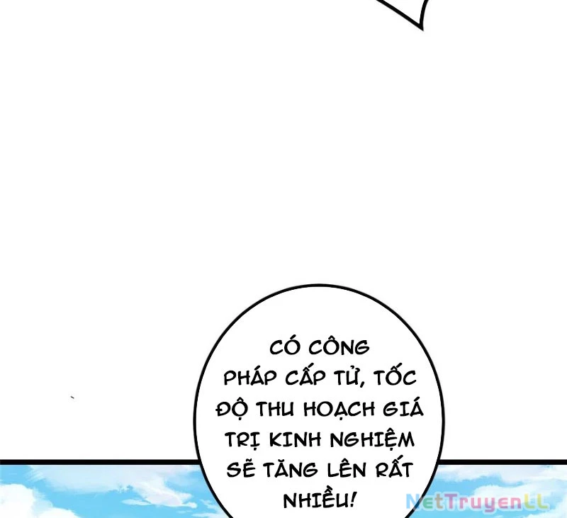 Chưởng Môn Khiêm Tốn Chút Chapter 391 - Trang 4