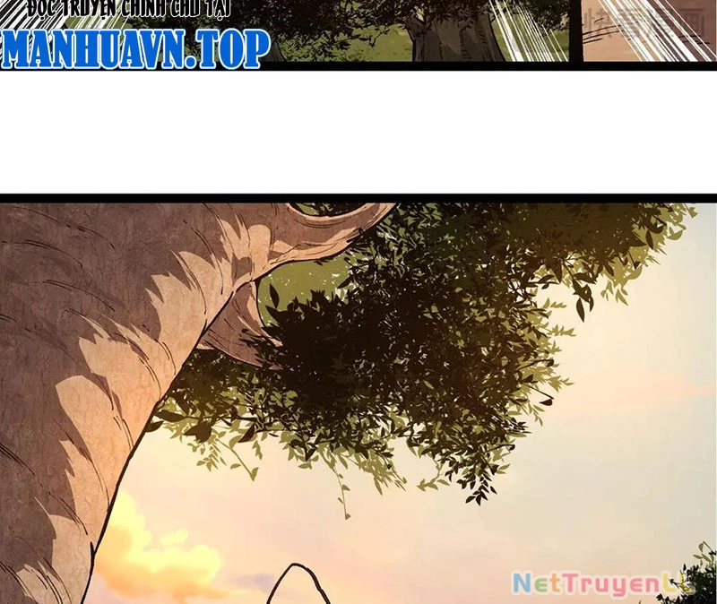 Chuyển Sinh Thành Liễu Đột Biến Chapter 245 - Trang 4