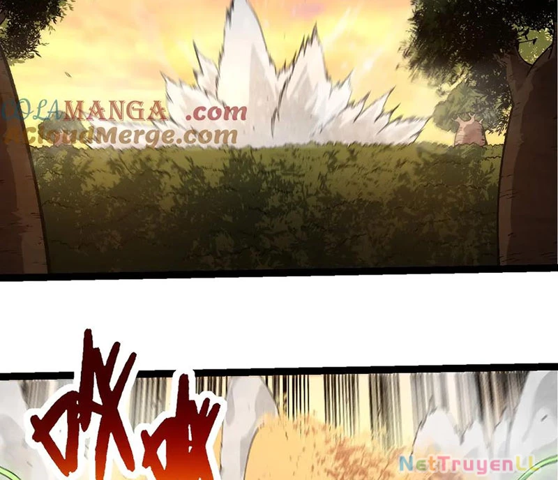 Chuyển Sinh Thành Liễu Đột Biến Chapter 245 - Trang 4