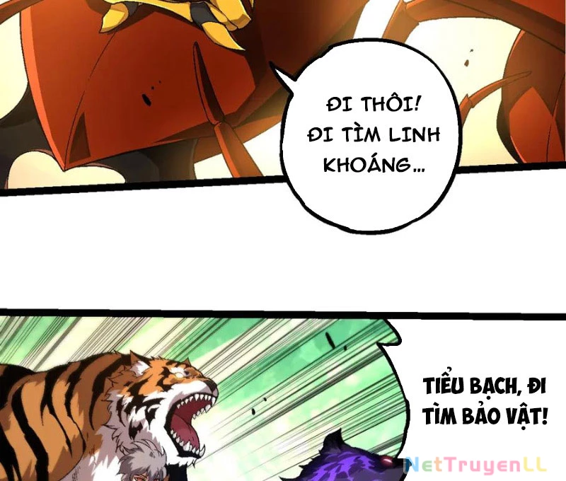 Chuyển Sinh Thành Liễu Đột Biến Chapter 246 - Trang 4