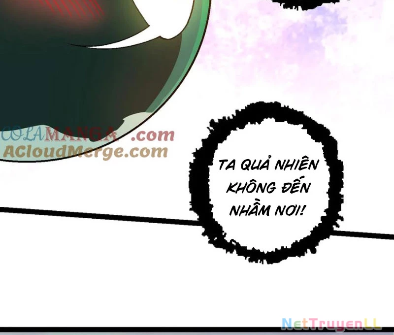 Chuyển Sinh Thành Liễu Đột Biến Chapter 246 - Trang 4