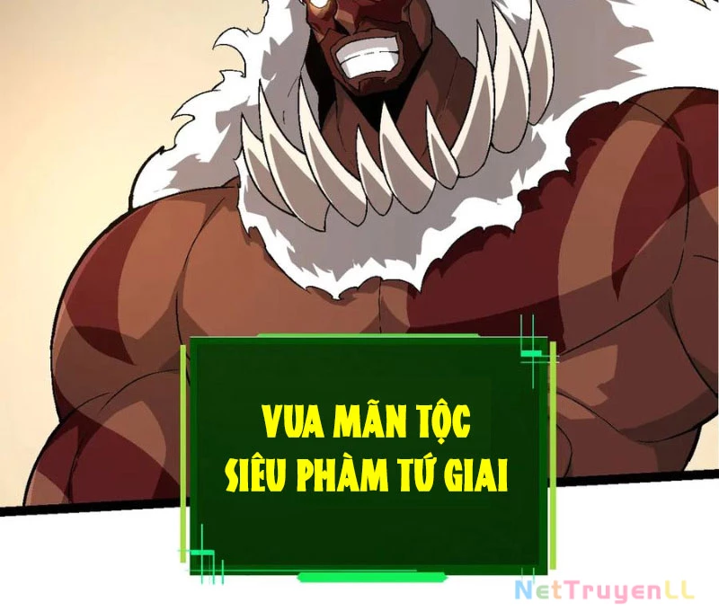 Chuyển Sinh Thành Liễu Đột Biến Chapter 246 - Trang 4