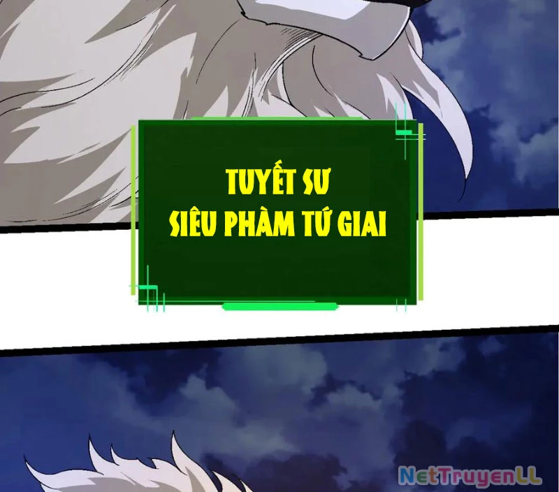 Chuyển Sinh Thành Liễu Đột Biến Chapter 246 - Trang 4