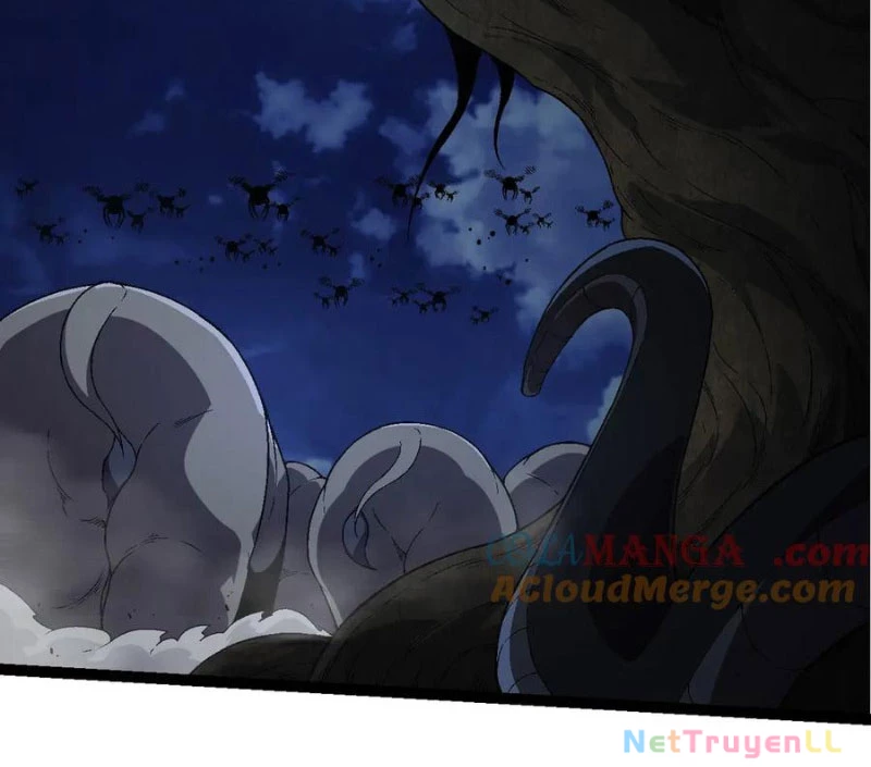 Chuyển Sinh Thành Liễu Đột Biến Chapter 246 - Trang 4