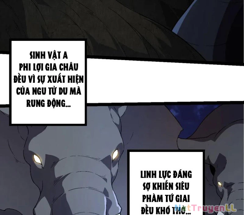 Chuyển Sinh Thành Liễu Đột Biến Chapter 246 - Trang 4