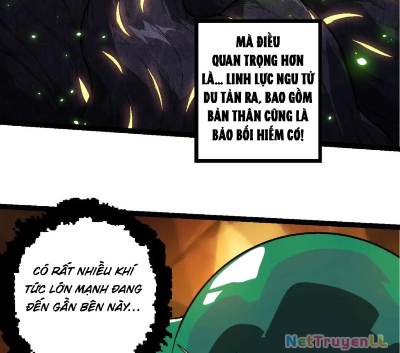 Chuyển Sinh Thành Liễu Đột Biến Chapter 246 - Trang 4