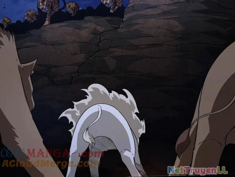 Chuyển Sinh Thành Liễu Đột Biến Chapter 246 - Trang 4