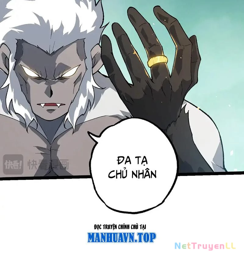 Chuyển Sinh Thành Liễu Đột Biến Chapter 247 - Trang 4